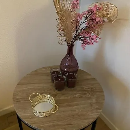 Le Cocon - Petit Dejeuner, Netflix, Jacuzzi* Vakantiehuis Carrières-sous-Poissy