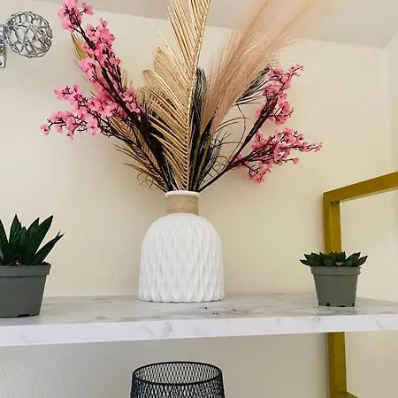 Le Cocon - Petit Dejeuner, Netflix, Jacuzzi* *